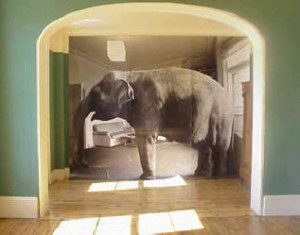 elephant_in_living_room