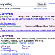 What is PPC brand bidding?