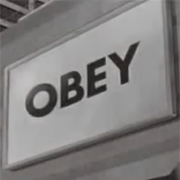 Agents of conformity?