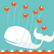What business people really think of Twitter