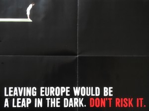Remain_leap_in_the_dark