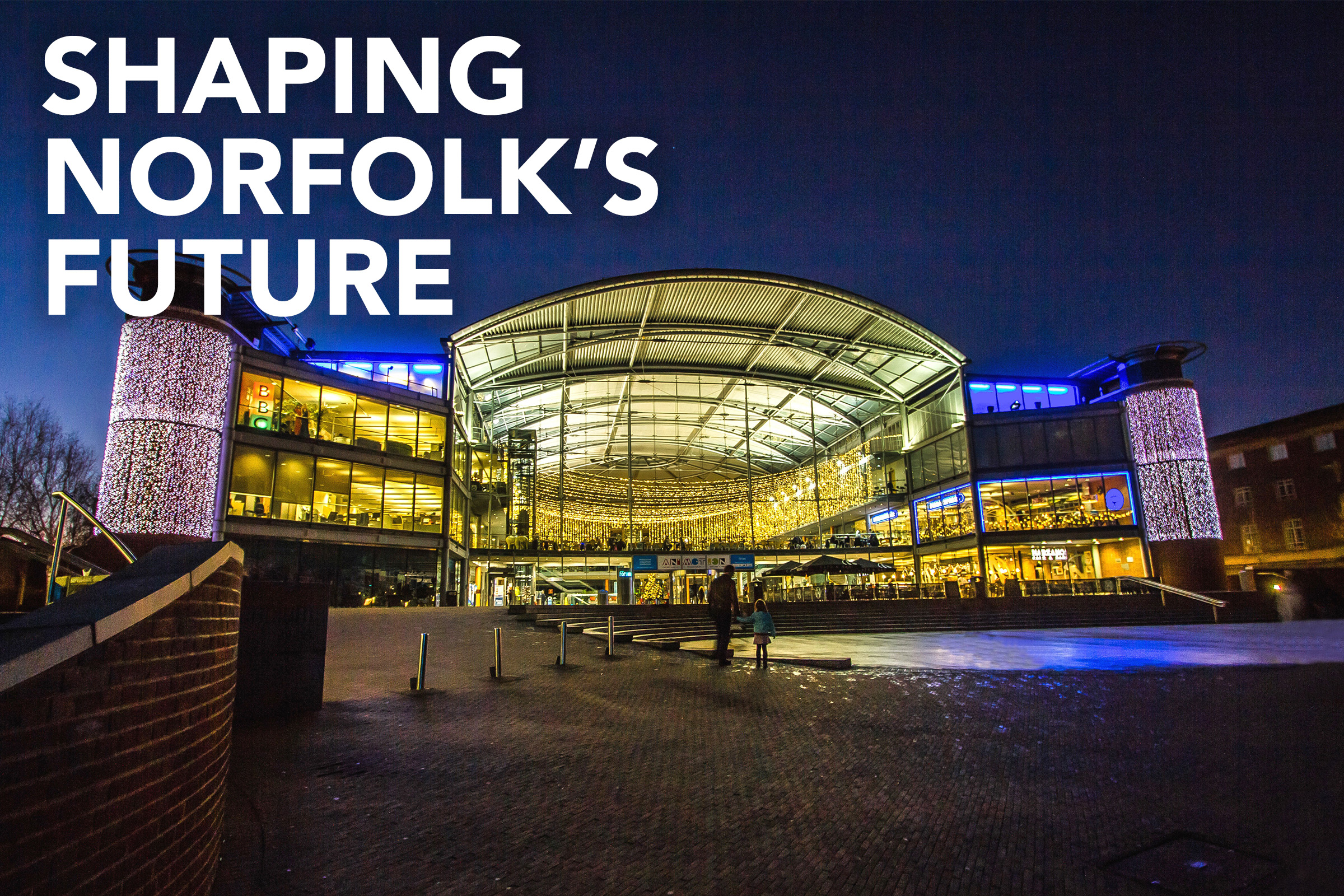 Shaping Norfolk's Future brand image